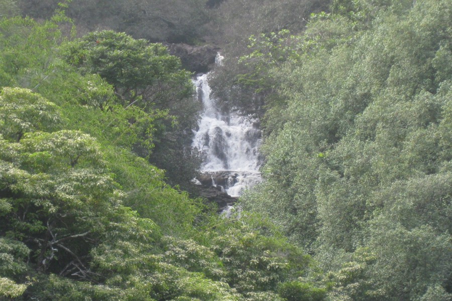 ../image/waterfall near hilo mile marker 16 2.jpg